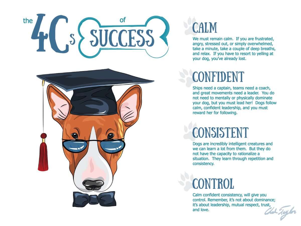 Private Dog Training Montreal